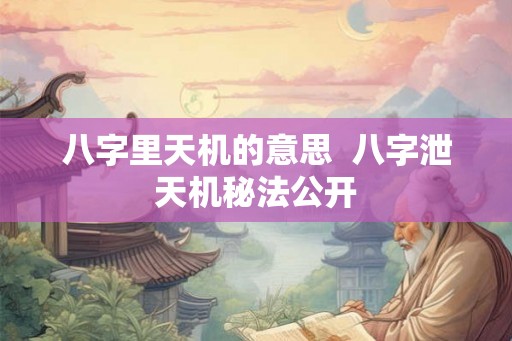 八字里天机的意思  八字泄天机秘法公开