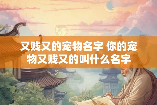 又贱又的宠物名字 你的宠物又贱又的叫什么名字