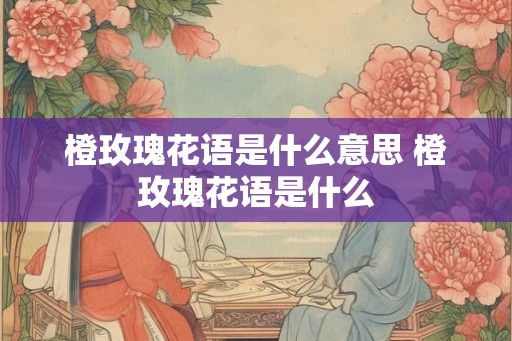 橙玫瑰花语是什么意思 橙玫瑰花语是什么 橙玫瑰花语是什么意思 橙玫瑰花语是什么