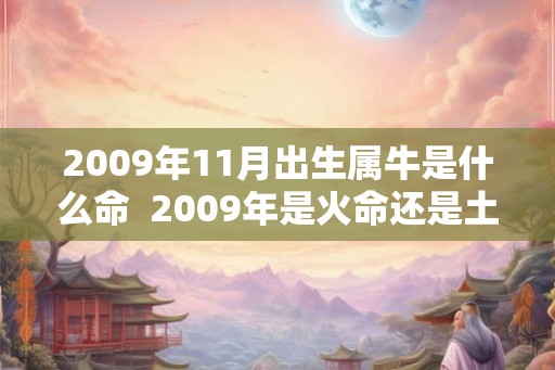 2009年11月出生属牛是什么命  2009年是火命还是土命