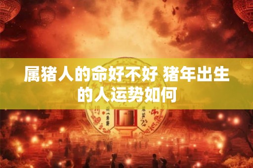 属猪人的命好不好 猪年出生的人运势如何