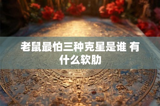 老鼠最怕三种克星是谁 有什么软肋