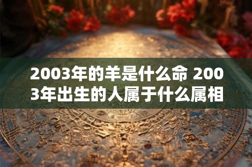 2003年的羊是什么命 2003年出生的人属于什么属相