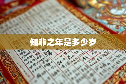 知非之年是多少岁