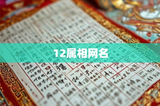12属相网名