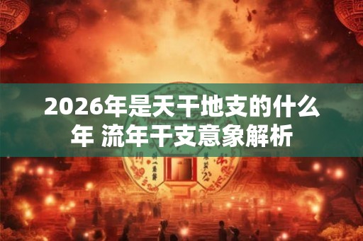 2026年是天干地支的什么年 流年干支意象解析