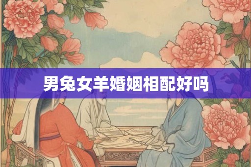 男兔女羊婚姻相配好吗