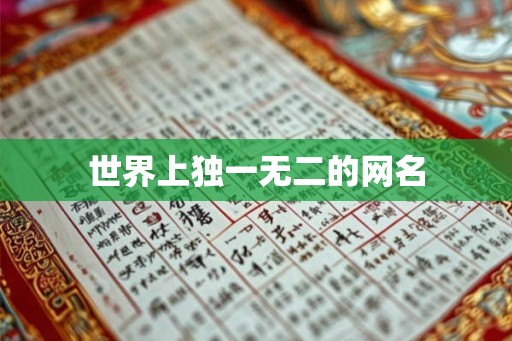 世界上独一无二的网名