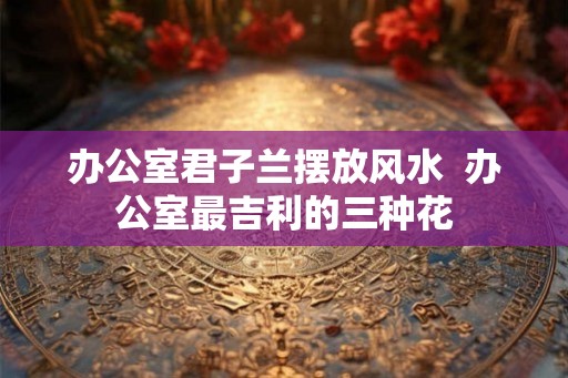 办公室君子兰摆放风水  办公室最吉利的三种花