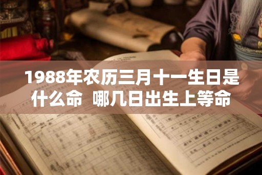 1988年农历三月十一生日是什么命  哪几日出生上等命