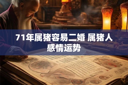 71年属猪容易二婚 属猪人感情运势