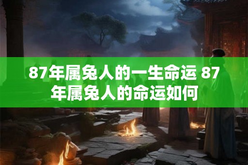 87年属兔人的一生命运 87年属兔人的命运如何
