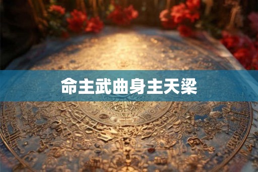命主武曲身主天梁 命主武曲身主天梁