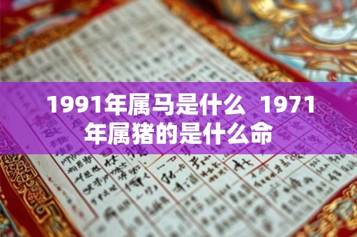 1991年属马是什么  1971年属猪的是什么命