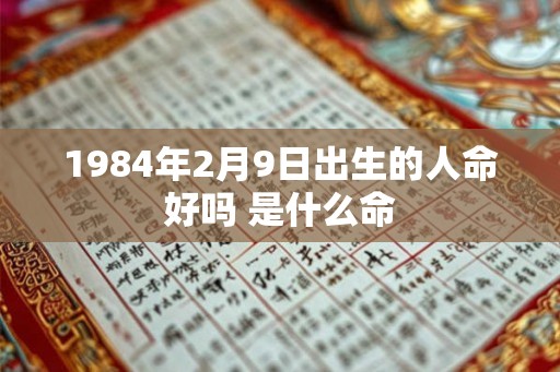 1984年2月9日出生的人命好吗 是什么命