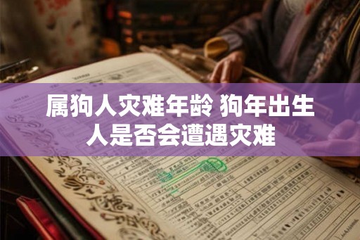 属狗人灾难年龄 狗年出生人是否会遭遇灾难 属狗人灾难年龄 狗年出生人是否会遭遇灾难