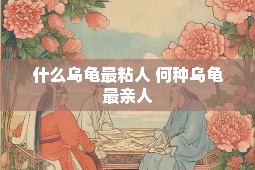 什么乌龟最粘人 何种乌龟最亲人 什么乌龟最粘人 何种乌龟最亲人
