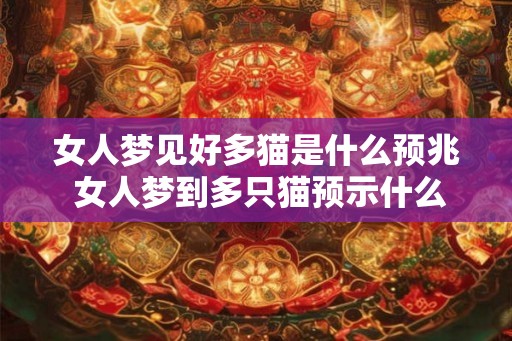女人梦见好多猫是什么预兆 女人梦到多只猫预示什么