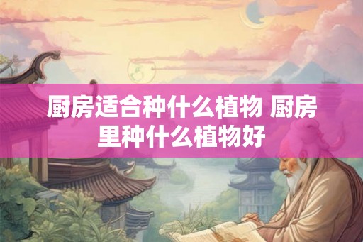 厨房适合种什么植物 厨房里种什么植物好