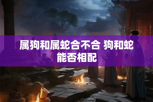 属狗和属蛇合不合 狗和蛇能否相配