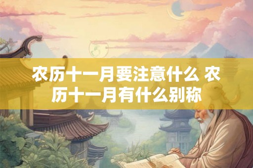 农历十一月要注意什么 农历十一月有什么别称