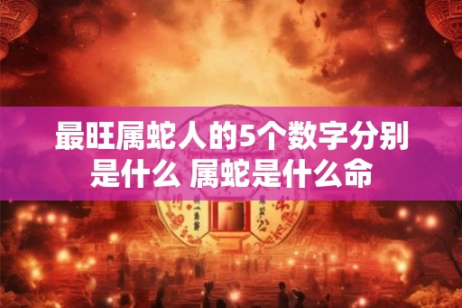 最旺属蛇人的5个数字分别是什么 属蛇是什么命