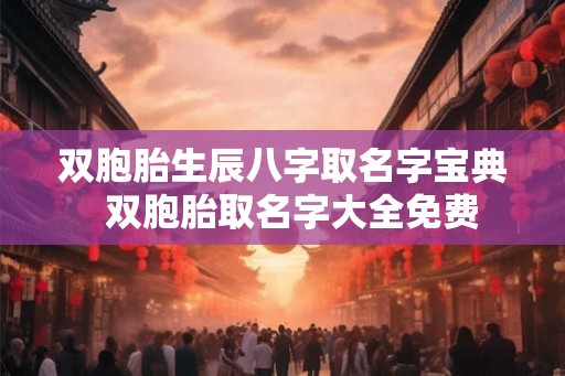 双胞胎生辰八字取名字宝典  双胞胎取名字大全免费