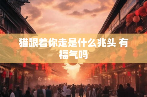 猫跟着你走是什么兆头 有福气吗 猫跟着你走是什么兆头 有福气吗
