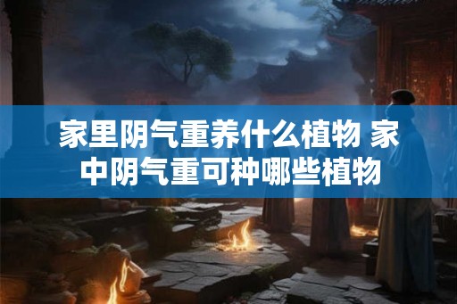 家里阴气重养什么植物 家中阴气重可种哪些植物