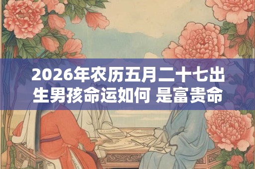 2026年农历五月二十七出生男孩命运如何 是富贵命吗 2026年农历五月二十七出生男孩命运如何 是富贵命吗