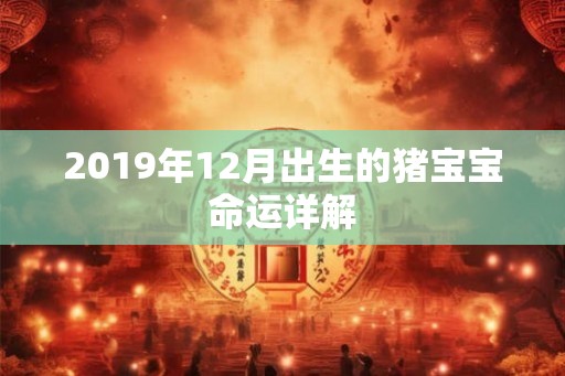 2019年12月出生的猪宝宝命运详解