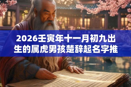 2026壬寅年十一月初九出生的属虎男孩楚辞起名字推荐