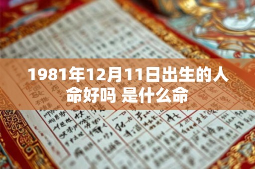 1981年12月11日出生的人命好吗 是什么命
