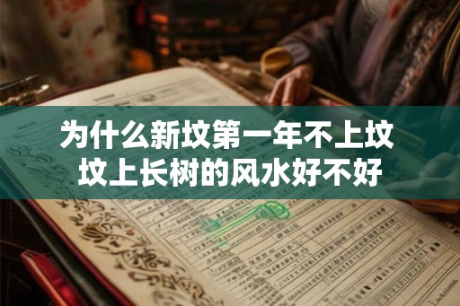 为什么新坟第一年不上坟 坟上长树的风水好不好 为什么新坟第一年不上坟 坟上长树的风水好不好