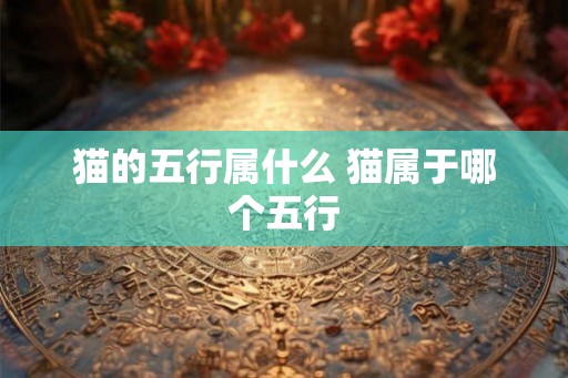 猫的五行属什么 猫属于哪个五行