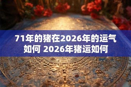 71年的猪在2026年的运气如何 2026年猪运如何