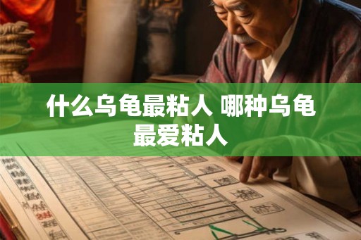 什么乌龟最粘人 哪种乌龟最爱粘人