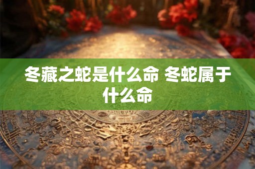 冬藏之蛇是什么命 冬蛇属于什么命 冬藏之蛇是什么命 冬蛇属于什么命