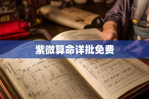 紫微算命详批免费