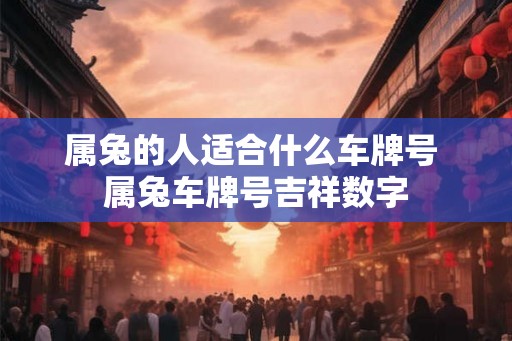 属兔的人适合什么车牌号 属兔车牌号吉祥数字 属兔的人适合什么车牌号 属兔车牌号吉祥数字
