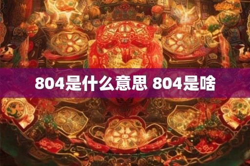 804是什么意思 804是啥