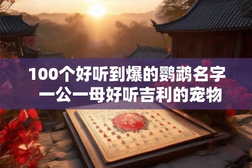 100个好听到爆的鹦鹉名字  一公一母好听吉利的宠物名字