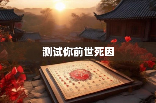 测试你前世死因