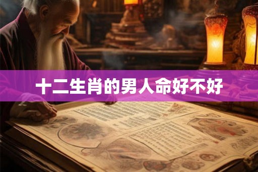十二生肖的男人命好不好 十二生肖的男人命好不好