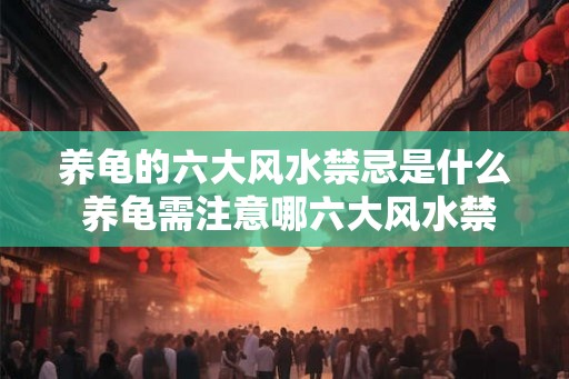 养龟的六大风水禁忌是什么 养龟需注意哪六大风水禁忌