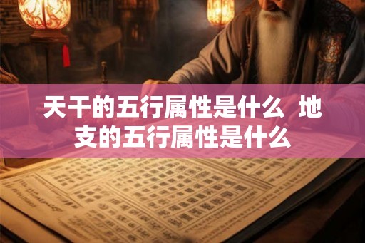 天干的五行属性是什么  地支的五行属性是什么