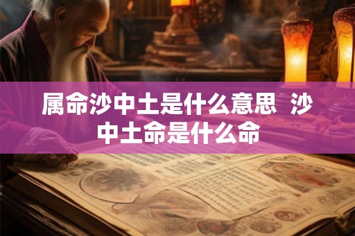 属命沙中土是什么意思  沙中土命是什么命
