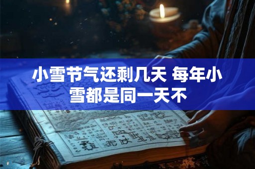 小雪节气还剩几天 每年小雪都是同一天不