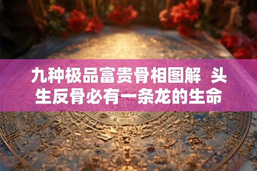 九种极品富贵骨相图解 头生反骨必有一条龙的生命 九种极品富贵骨相图解 头生反骨必有一条龙的生命
