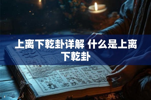 上离下乾卦详解 什么是上离下乾卦